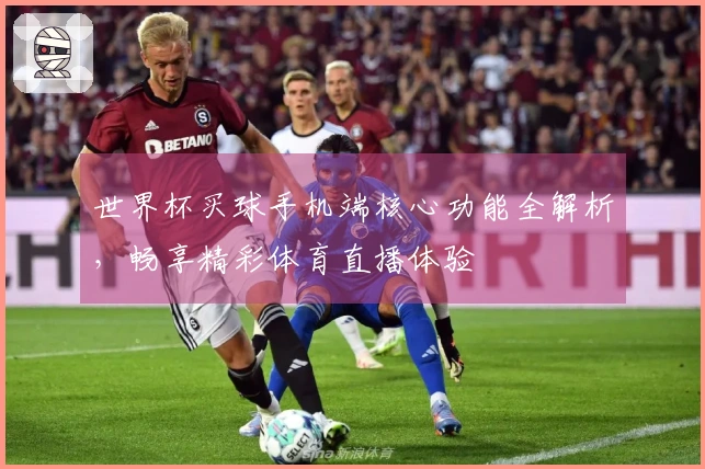 世界杯买球手机端核心功能全解析，畅享精彩体育直播体验