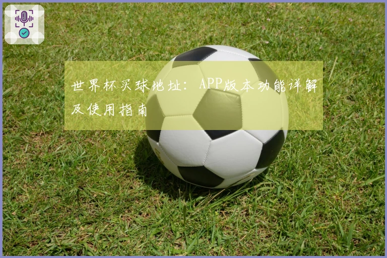 世界杯买球地址：APP版本功能详解及使用指南