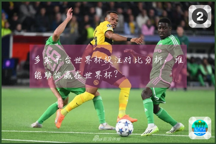 多家平台世界杯投注对比分析，谁能助你赢在世界杯？