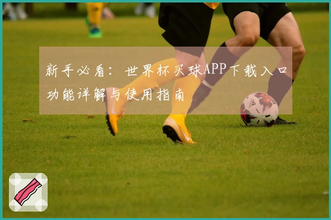 新手必看：世界杯买球APP下载入口功能详解与使用指南
