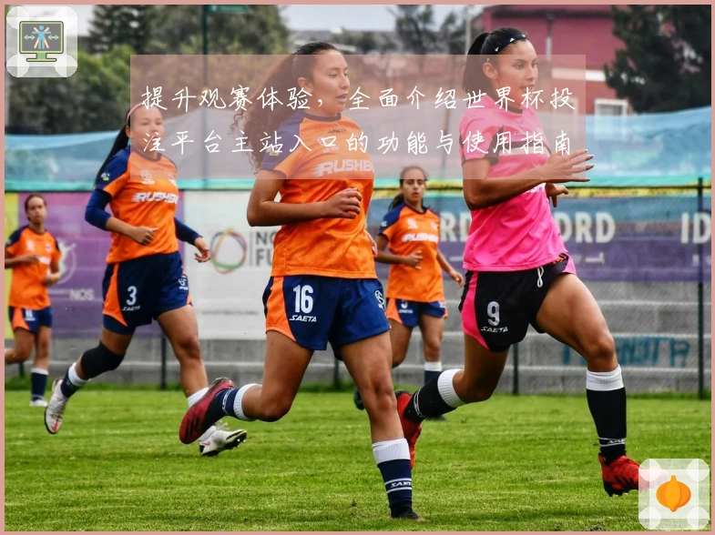 提升观赛体验，全面介绍世界杯投注平台主站入口的功能与使用指南