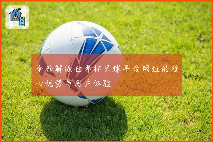 全面解读世界杯买球平台网址的核心优势与用户体验