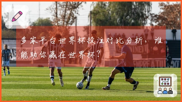 多家平台世界杯投注对比分析，谁能助你赢在世界杯？