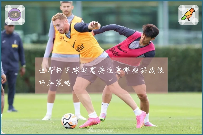 世界杯买球时需要注意哪些实战技巧和策略