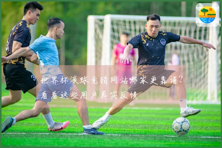 世界杯滚球竞猜网站哪家更靠谱？看看这些用户真实反馈