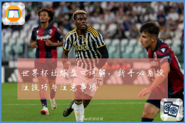 世界杯让球盘口详解，新手必看投注技巧与注意事项