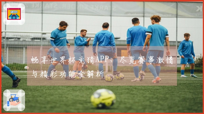 畅享世界杯竞猜APP，尽览赛事激情与精彩功能全解析