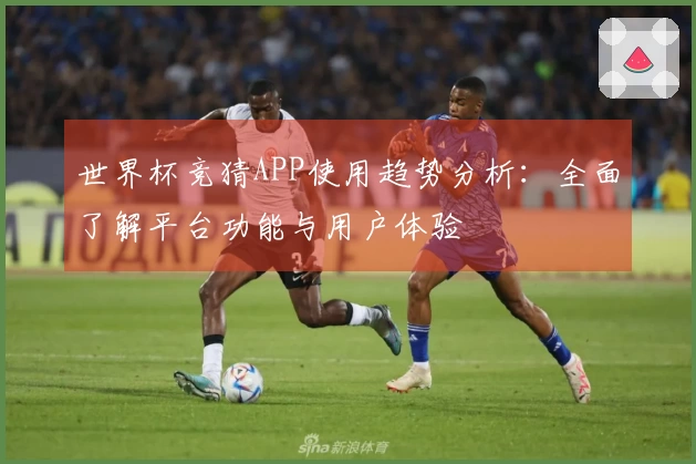 世界杯竞猜APP使用趋势分析：全面了解平台功能与用户体验