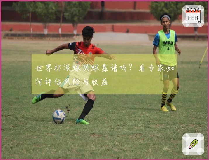 世界杯滚球买球靠谱吗？看专家如何评估风险与收益