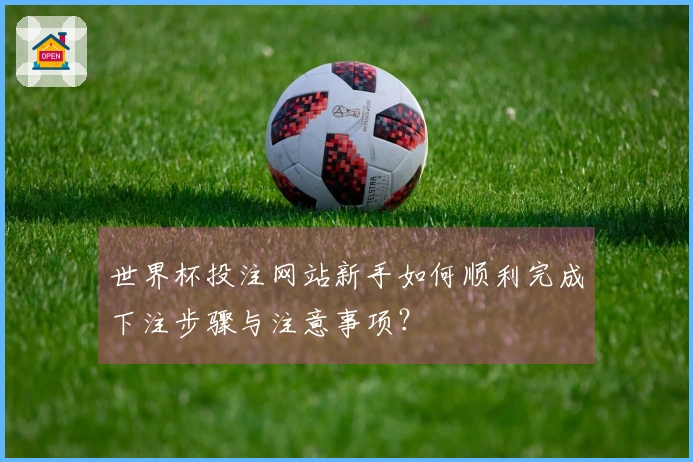 世界杯投注网站新手如何顺利完成下注步骤与注意事项？