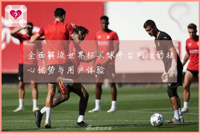 全面解读世界杯买球平台网址的核心优势与用户体验